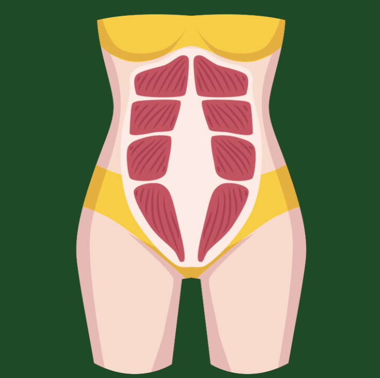 Diastasis recti condition and assessment